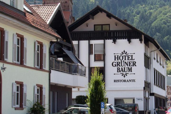 Hotel Gruener Baum - Hotel Im Murgtal, Schwarzwald Weisenbach Luaran gambar