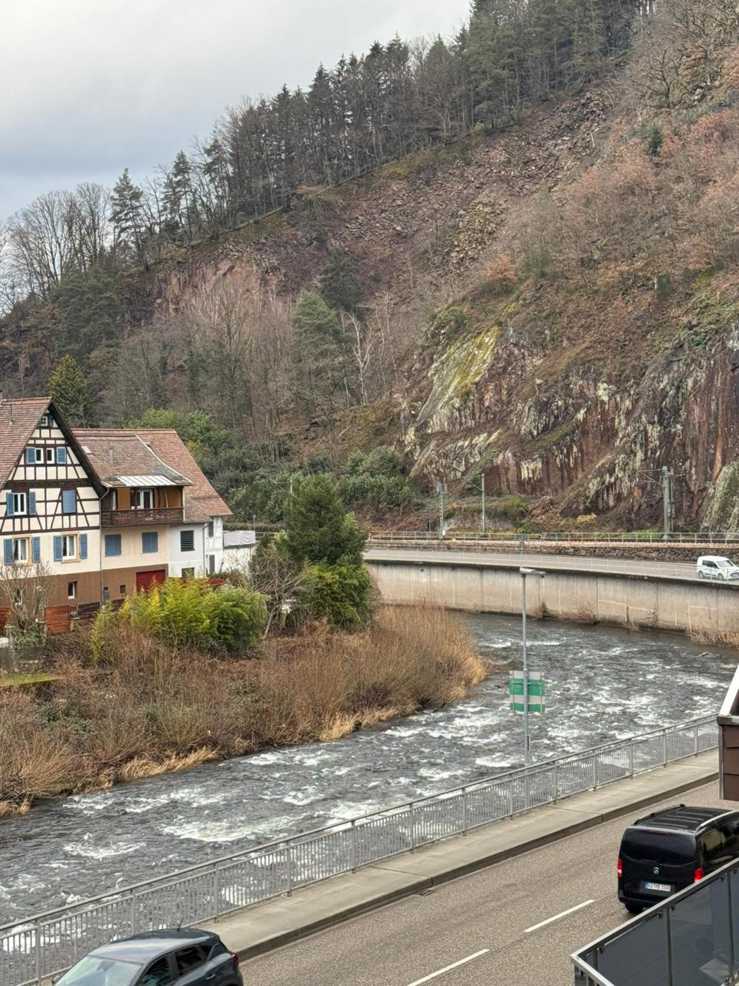 Hotel Gruener Baum - Hotel Im Murgtal, Schwarzwald Weisenbach Luaran gambar